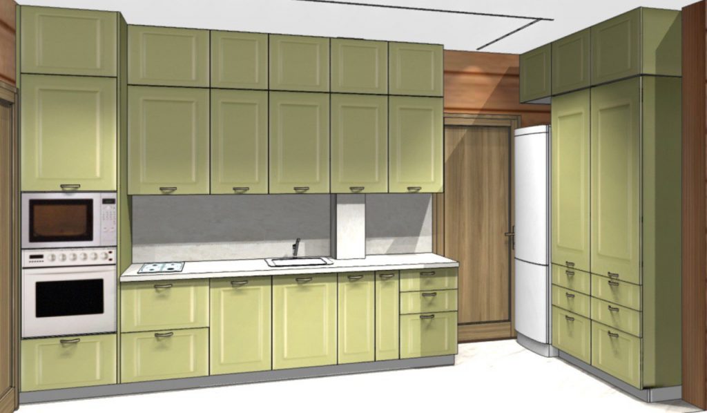 010 Дмитриева проект